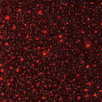 finition Mars red, rouge intense avec paillettes rouges